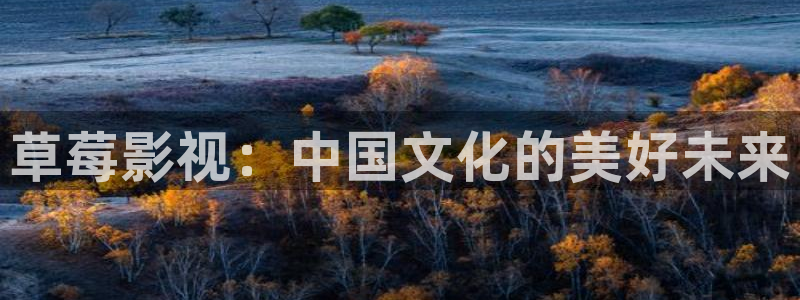 88影院在线观看电视剧：草莓影视：中国文化的美好未来