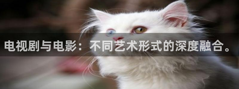 yyyy4488影院免费观看影片播影院